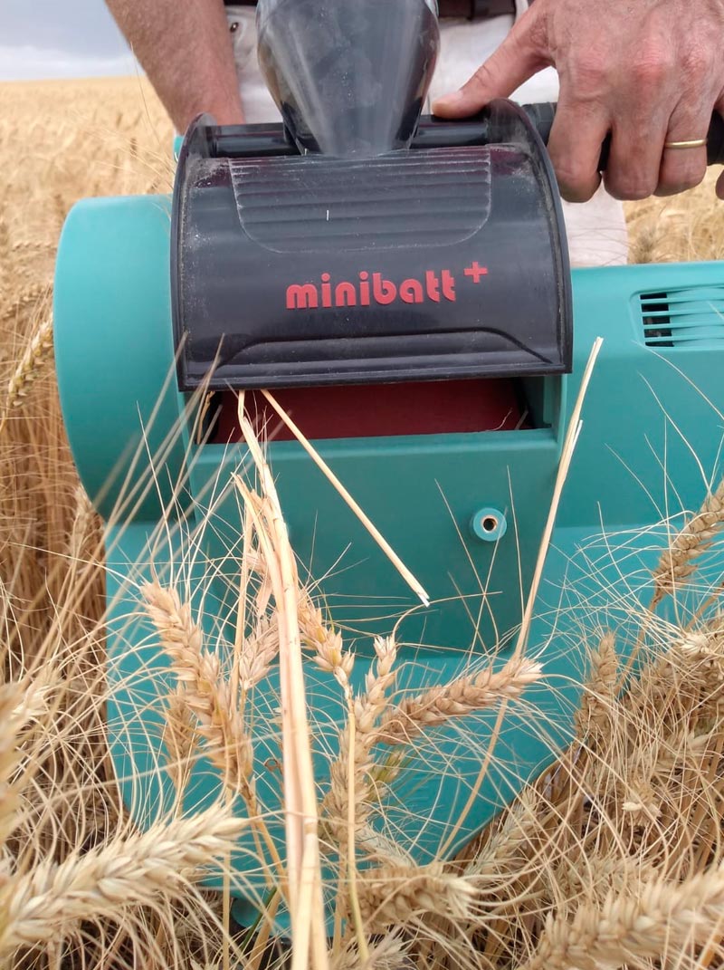 Minibatt